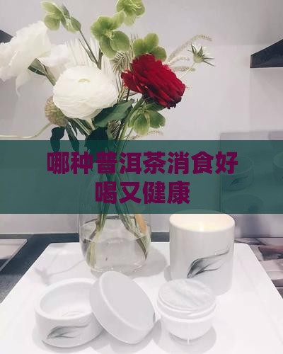 哪种普洱茶消食好喝又健康