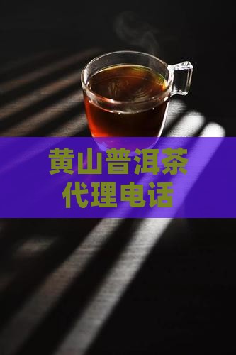 黄山普洱茶代理电话