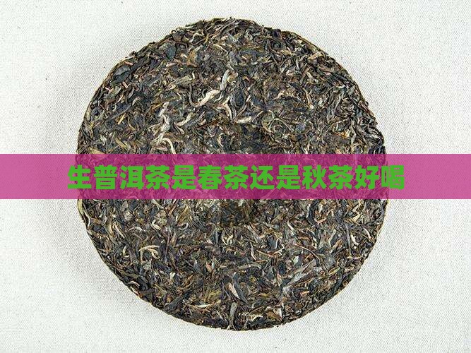 生普洱茶是春茶还是秋茶好喝