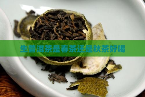 生普洱茶是春茶还是秋茶好喝