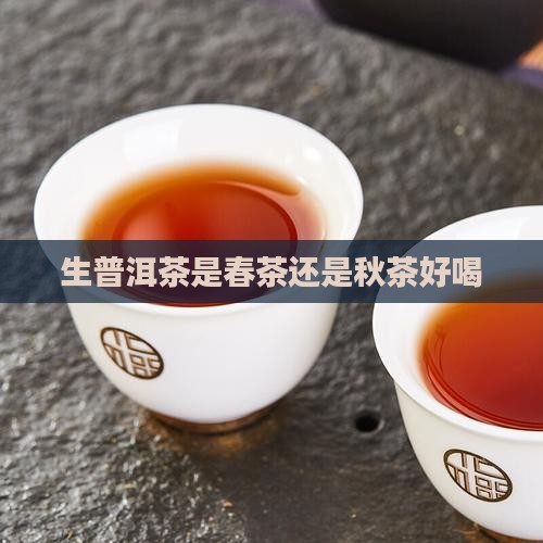 生普洱茶是春茶还是秋茶好喝