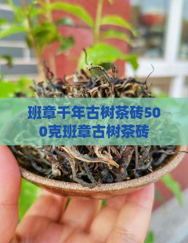 班章千年古树茶砖