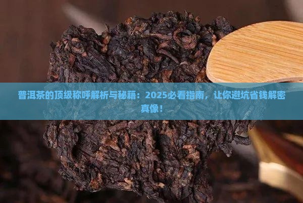 普洱茶的顶级称呼