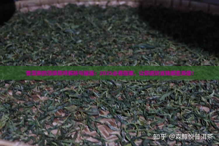 普洱茶的顶级称呼
