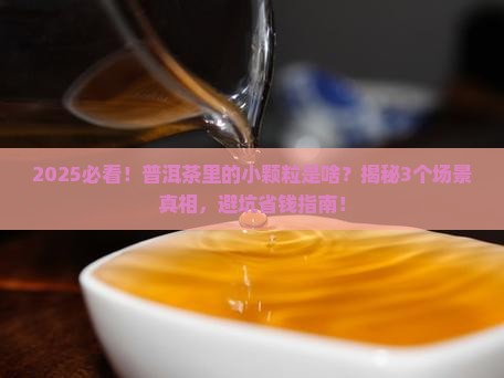 普洱茶里面有小颗粒是什么