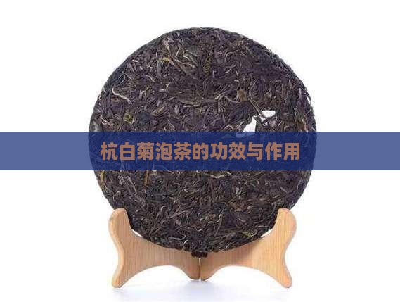 杭白菊泡茶的功效与作用