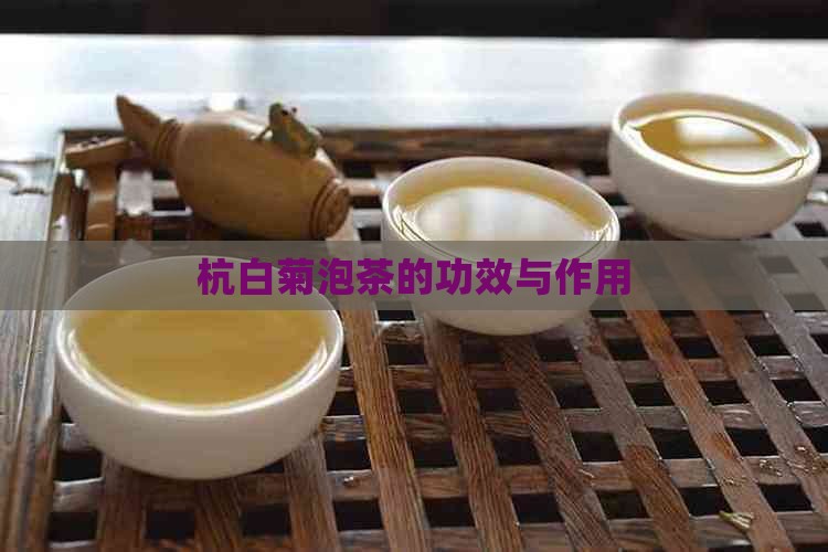 杭白菊泡茶的功效与作用