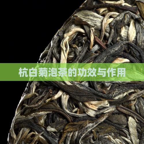杭白菊泡茶的功效与作用