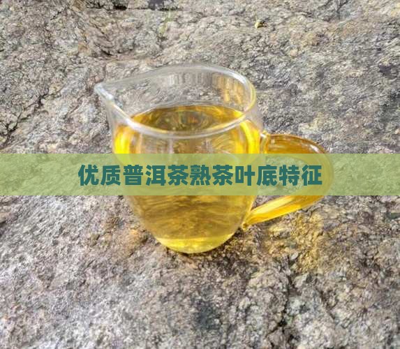 优质普洱茶熟茶叶底特征