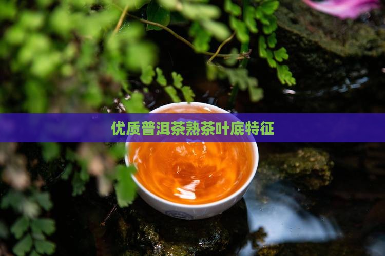 优质普洱茶熟茶叶底特征