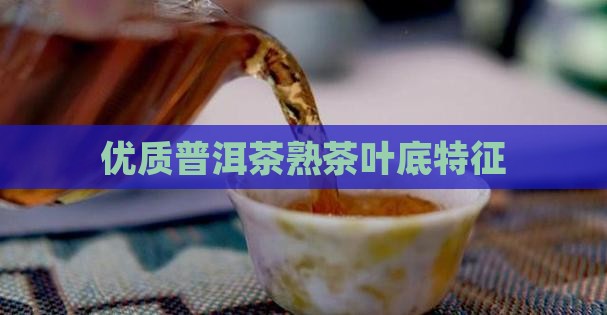优质普洱茶熟茶叶底特征