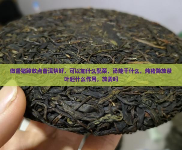 做酱猪蹄放点普洱茶好