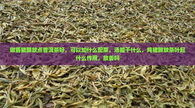 做酱猪蹄放点普洱茶好