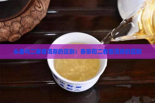 头春和二春普洱茶的区别