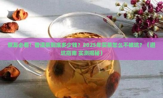 茶者普洱茶多少钱