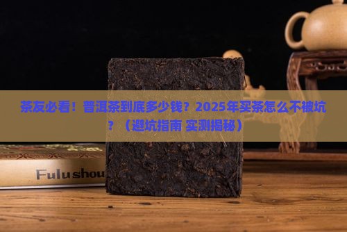 茶者普洱茶多少钱