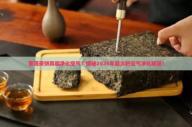 普洱茶饼能净化空气吗好吗