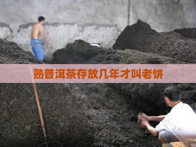 熟普洱茶存放几年才叫老饼