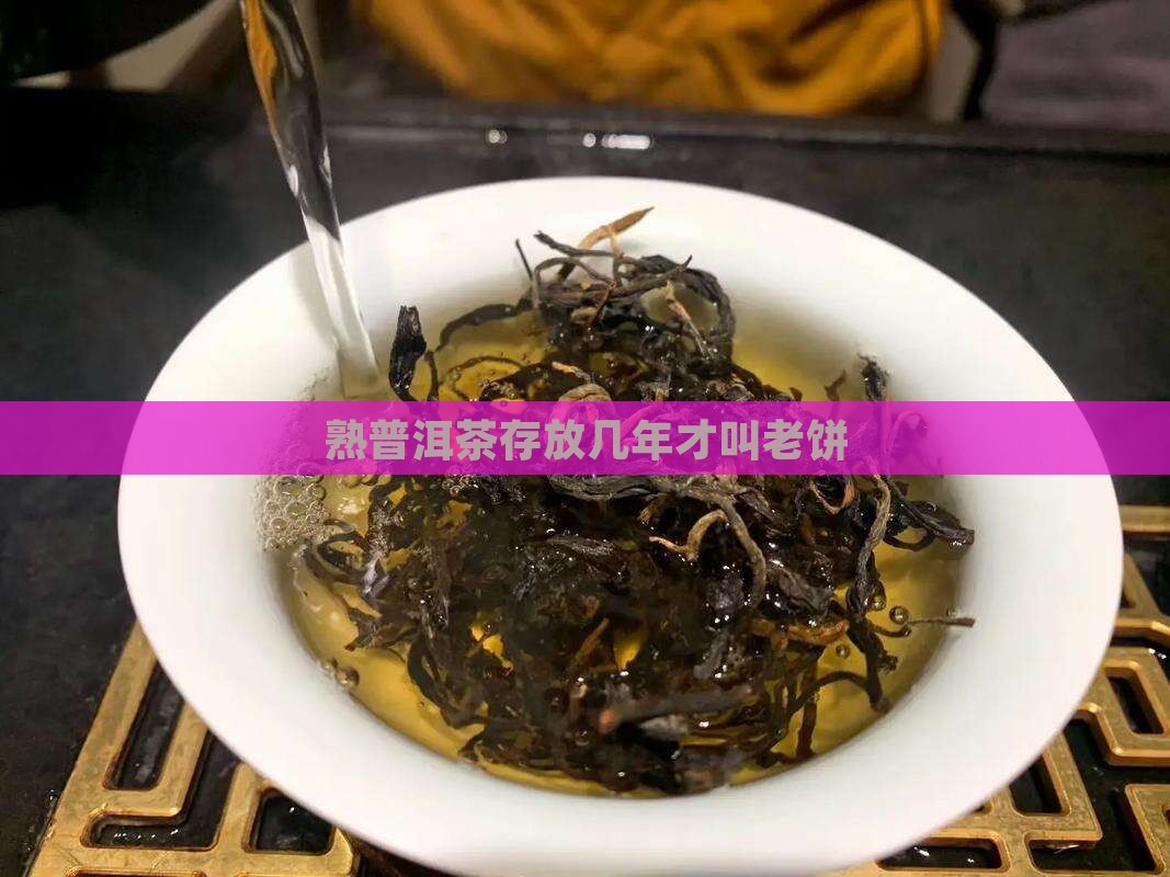 熟普洱茶存放几年才叫老饼