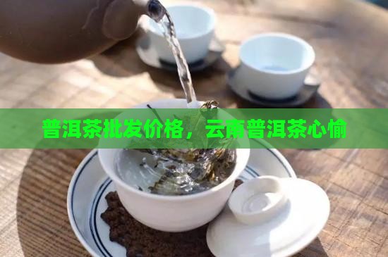 心愉普洱茶批发