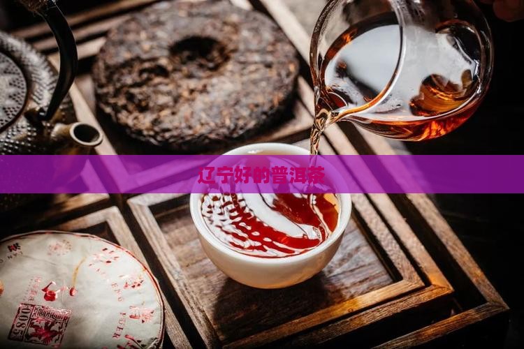 辽宁好的普洱茶