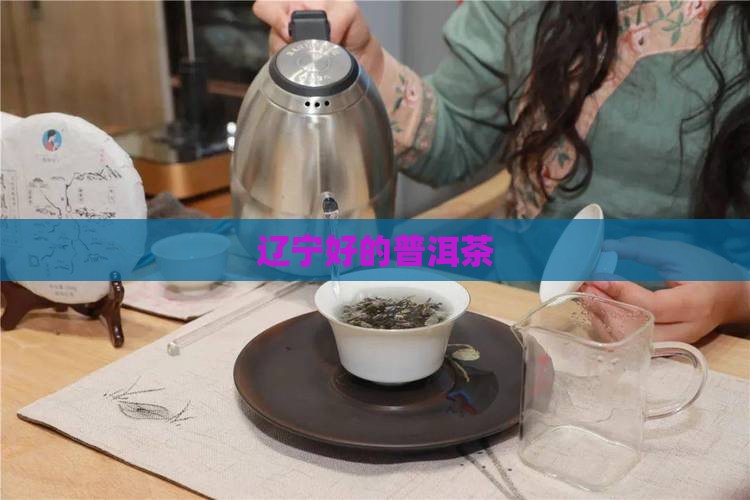 辽宁好的普洱茶