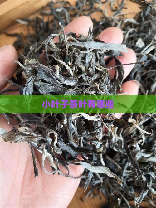 小叶子茶叶有哪些 小叶子茶叶有哪些