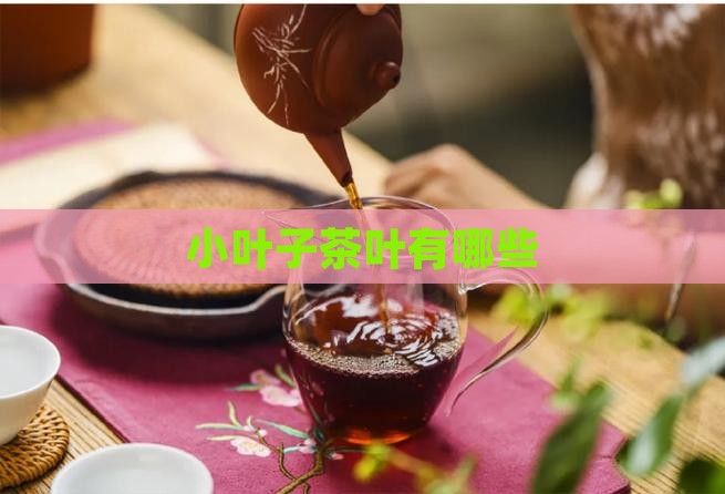 小叶子茶叶有哪些 小叶子茶叶有哪些