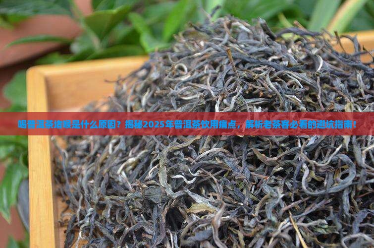 喝普洱茶堵喉是什么原因