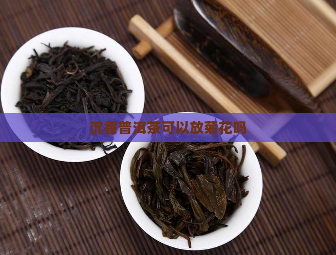 沉香普洱茶可以放菊花吗
