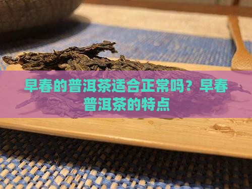 早春的普洱茶适合正常吗
