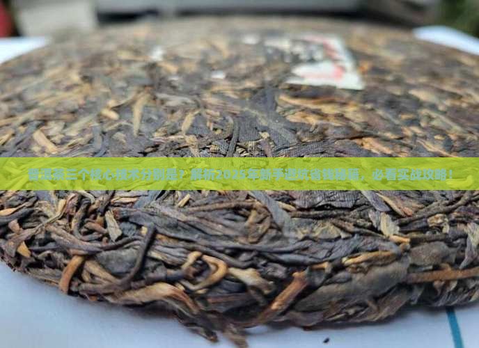 普洱茶三个核心技术分别是 普洱茶三个核心技术分别是