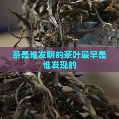 茶是谁发明的茶叶最早是谁发现的