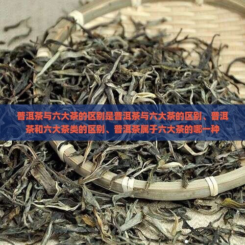 普洱茶与六大茶的区别是