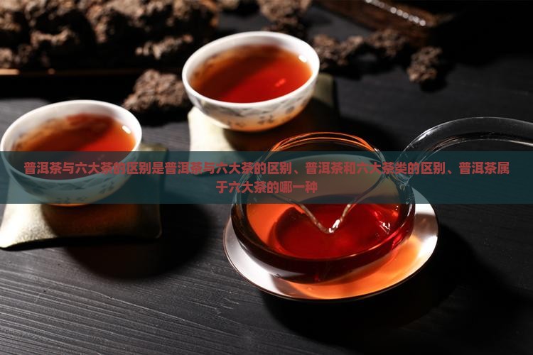 普洱茶与六大茶的区别是