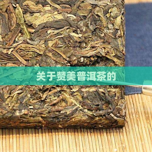 关于赞美普洱茶的