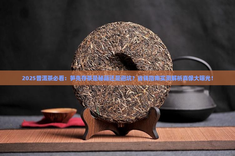 普洱茶可以用笋壳吗