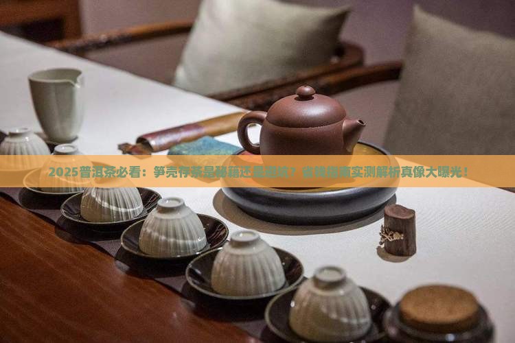 普洱茶可以用笋壳吗