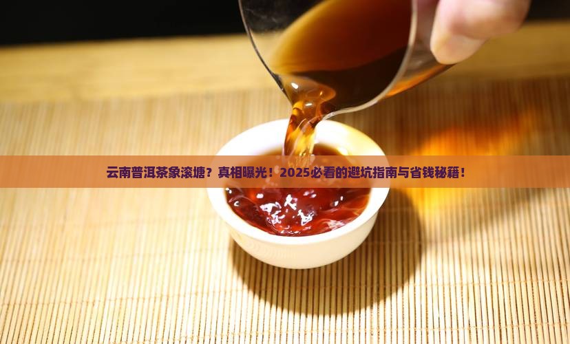 云南普洱茶象滚塘