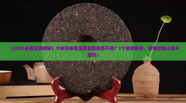 大树白茶普洱茶盒