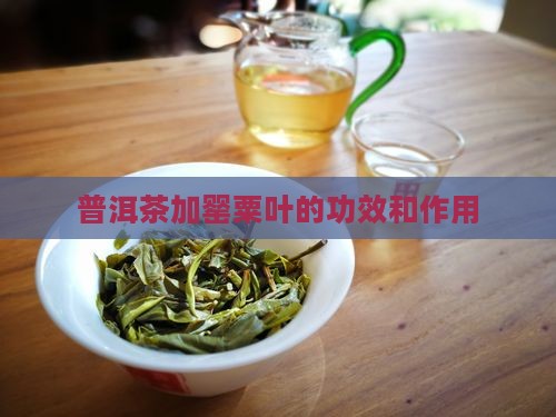 普洱茶加罂粟叶的功效和作用