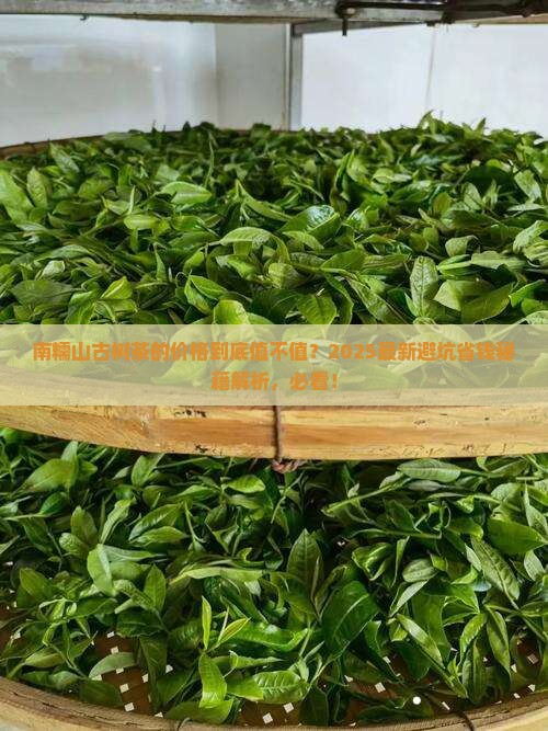 南糯山古树茶的价格