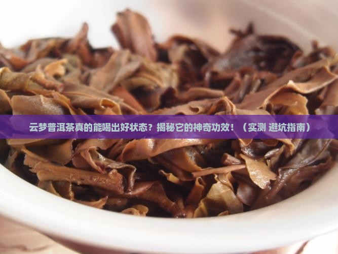 云梦普洱茶的功效作用
