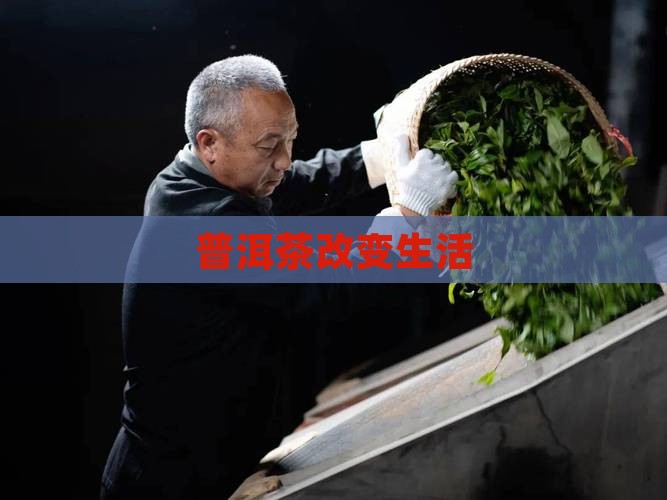 普洱茶改变生活