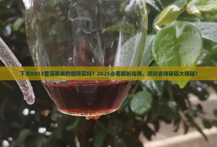 下关8853普洱茶