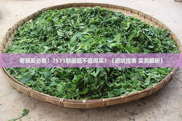 普洱茶老同志7571
