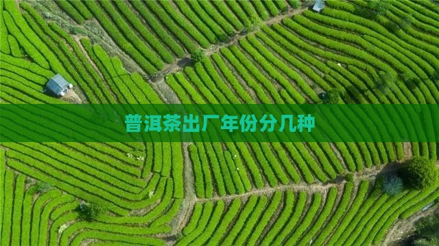 普洱茶出厂年份分几种