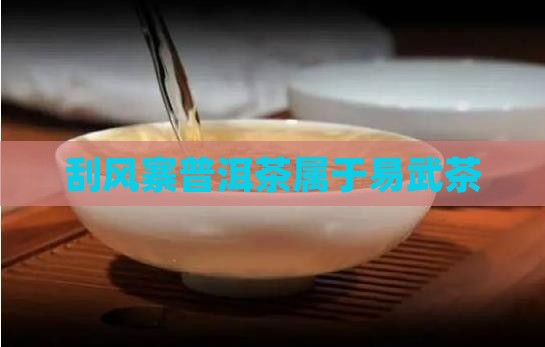 刮风寨普洱茶属于易武茶