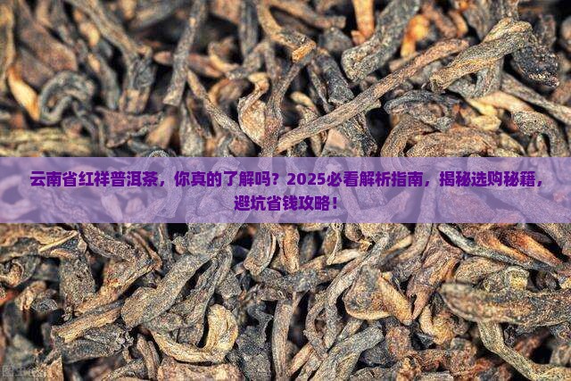 云南省红祥普洱茶