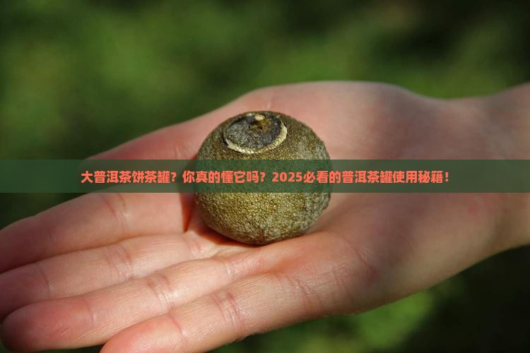 大普洱茶饼茶罐